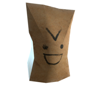 PaperBagSteam.png